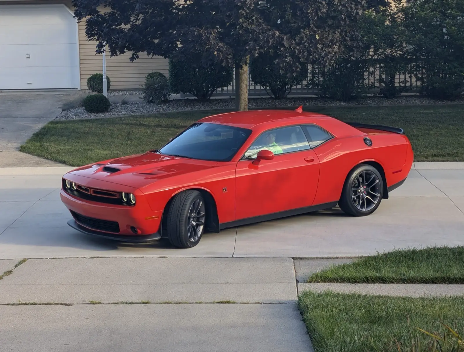 Auto detailing by Pixel Perfect Detailing
