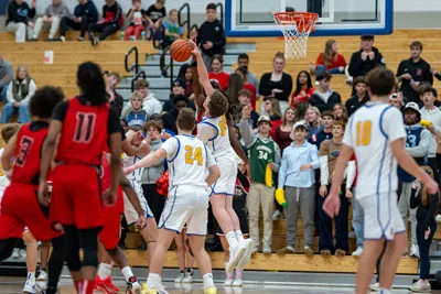 Homestead | Luers Boys Basketball — photo 3
