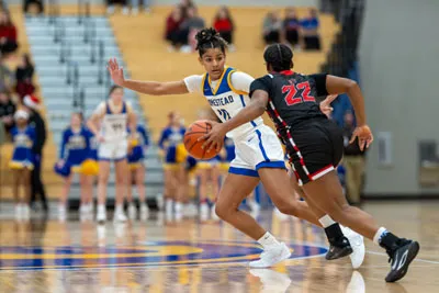 Homestead | Luers Girls Basketball — photo 2