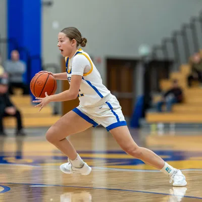 Homestead | Luers Girls Basketball — photo 3