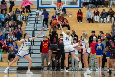 Homestead | Luers Girls Basketball — photo 5