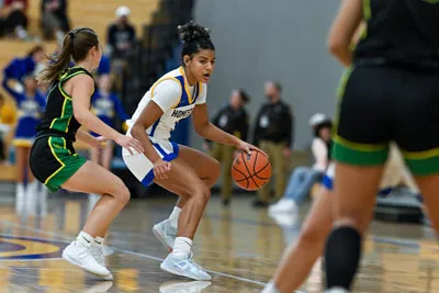 Homestead | Northridge Girls Basketball — photo 5