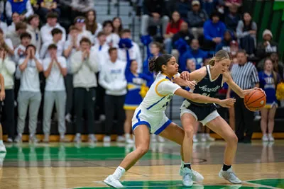 Homestead | Norwell Girls Basketball — photo 4