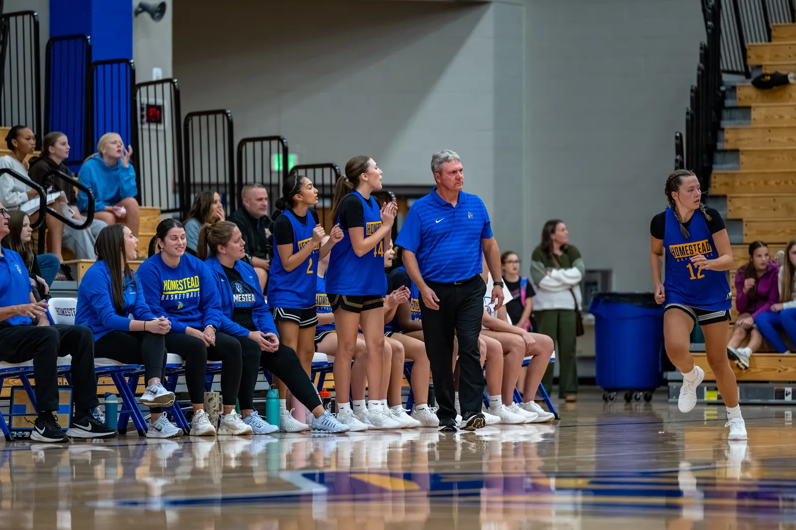 Girls Basketball action shot — Homestead vs. Penn, Fort Wayne Indiana