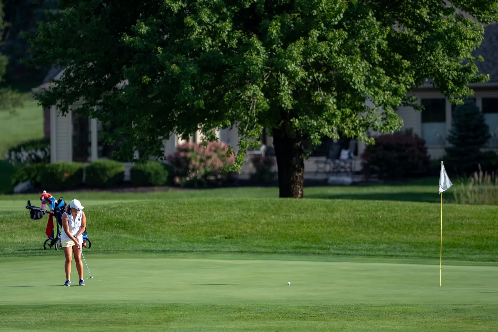Girls Golf action shot — Homestead vs. DeKalb, Fort Wayne Indiana