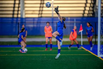 Homestead | Carroll - 1