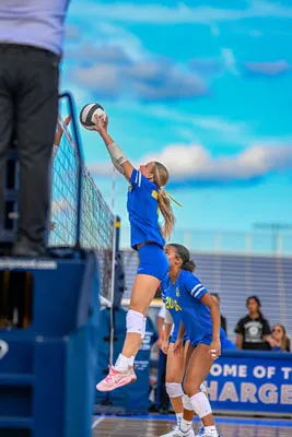 Homestead | Carroll Girls Volleyball — photo 2