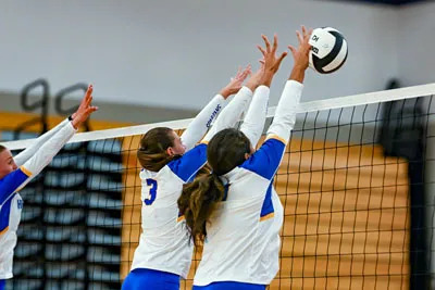 Homestead | Bishop Dwenger Girls Volleyball — photo 4