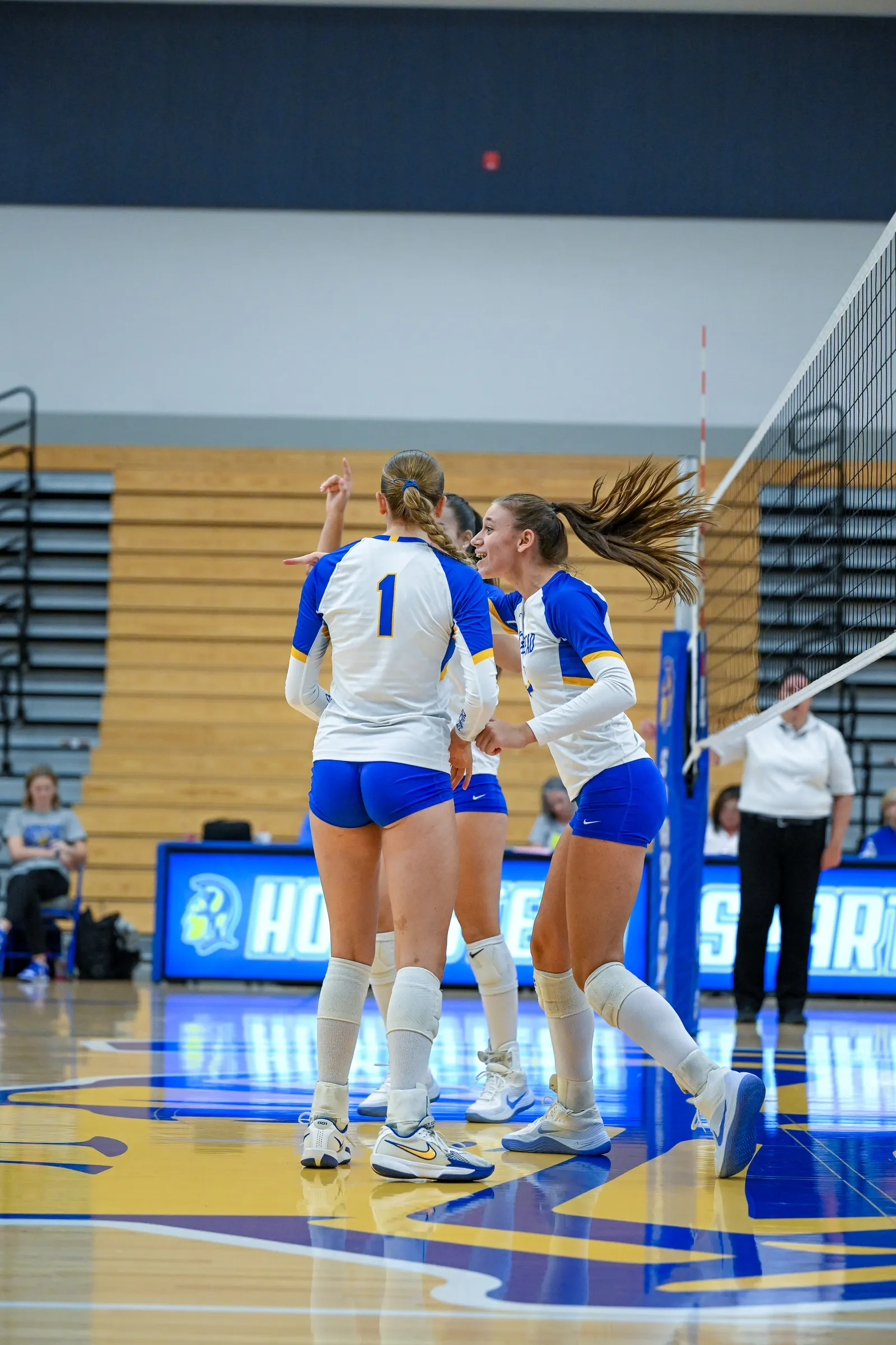 Girls Volleyball action shot — Homestead vs. Huntington North, Fort Wayne Indiana