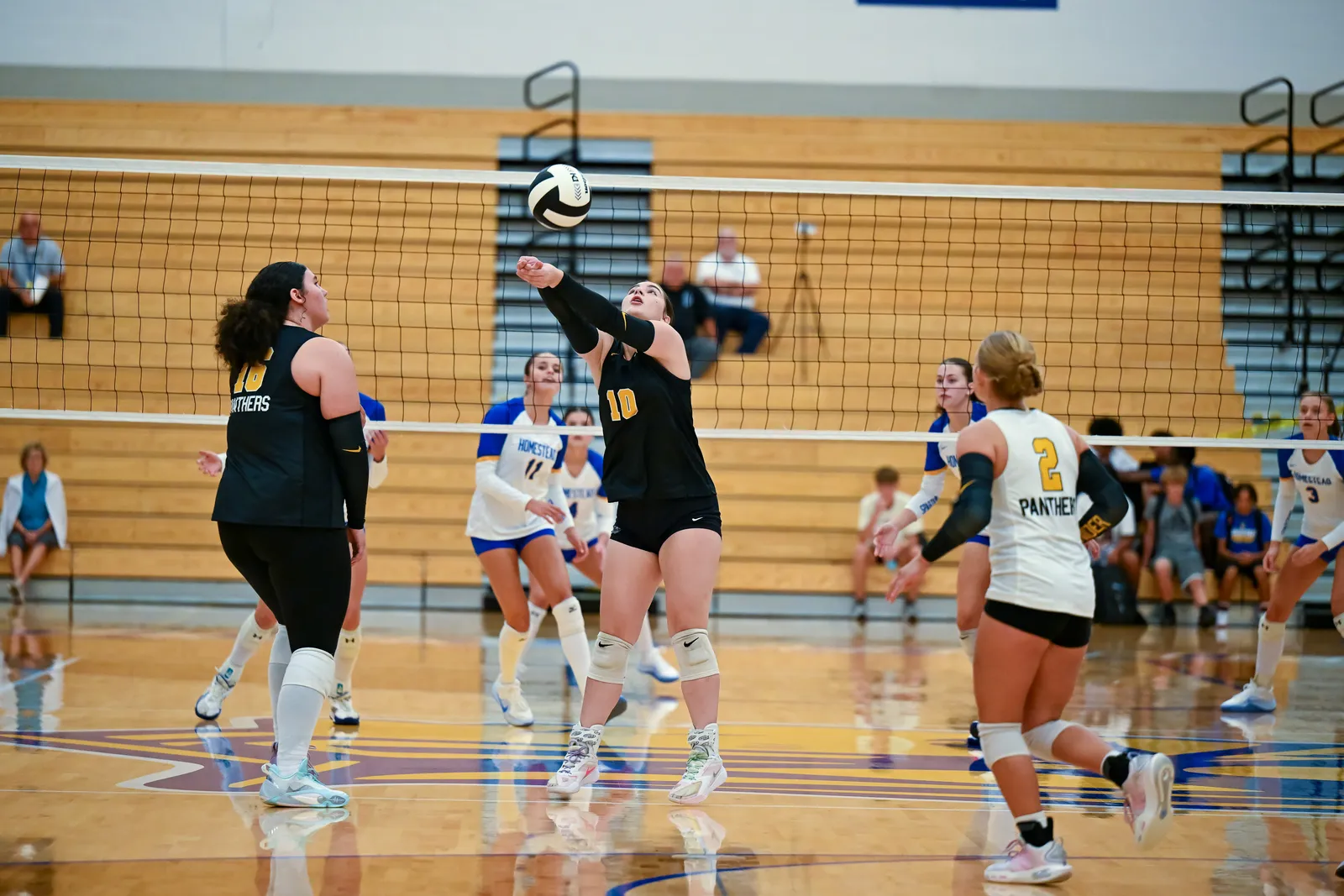 Girls Volleyball action shot — Homestead vs. Snider, Fort Wayne Indiana