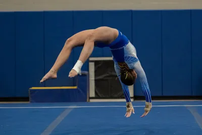 Homestead | Warsaw Gymnastics — photo 3