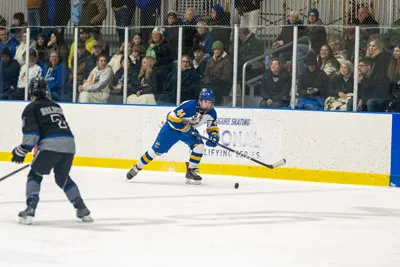 Homestead | Carroll Hockey — photo 2