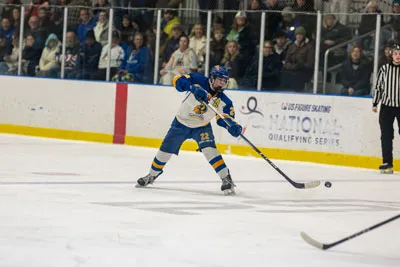 Homestead | Carroll Hockey — photo 4