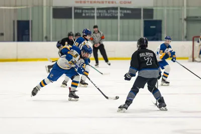 Homestead | Carroll Hockey — photo 5