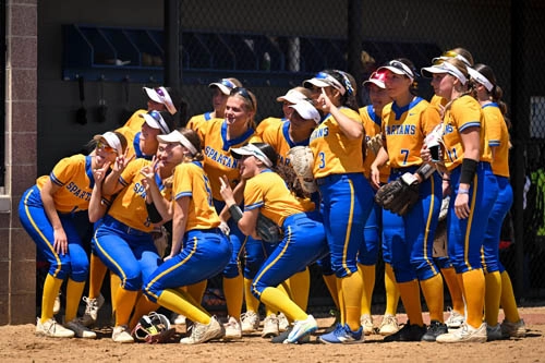 Softball action shot — Homestead vs. Huntington North, Fort Wayne Indiana