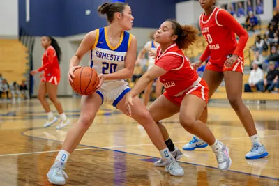 Homestead | Wayne Girls Basketball — photo 3