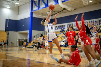 Homestead | Wayne Girls Basketball — photo 5