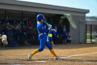 Homestead | Snider - 1